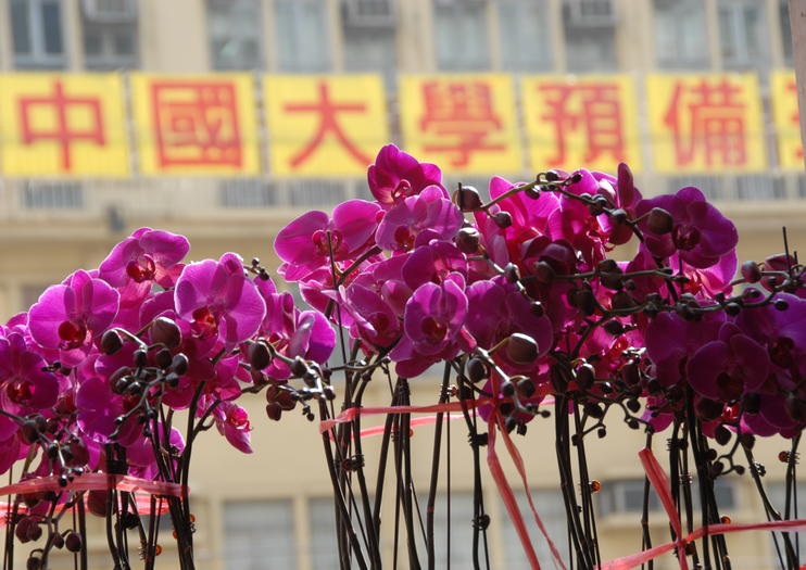Flower Market Road